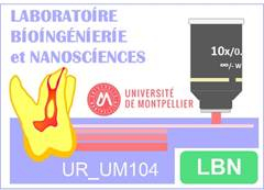 LBN - Laboratoire Bioingénierie et NanoSciences - UR_UM104 (équipe PY Collart Dutilleul)