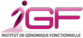 IGF - Institut de Génomique Fonctionelle Montpellier