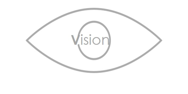 VISION TEAM-INM